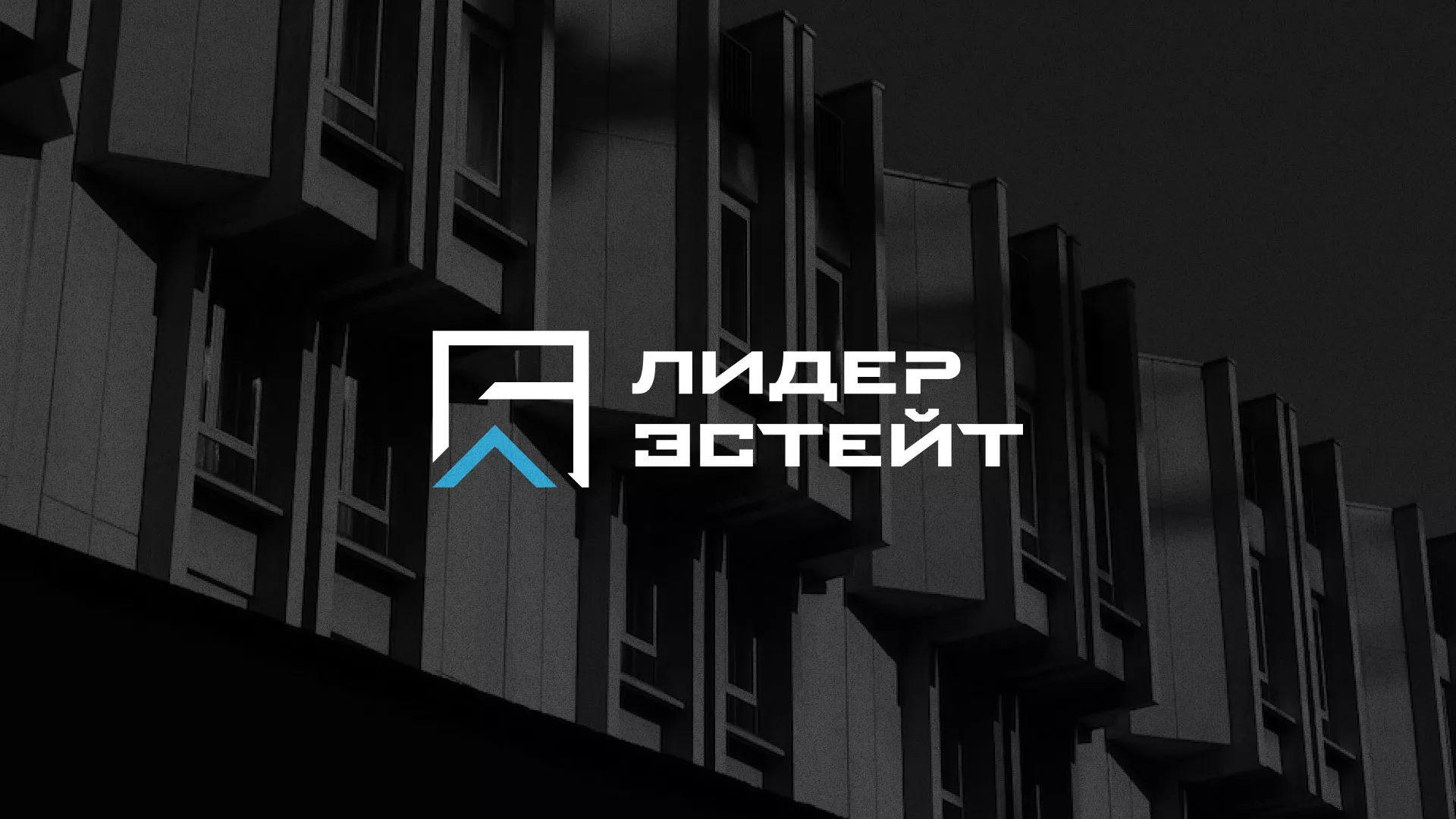 Разработка логотипа агентства недвижимости «Лидер Эстейт» в Калининске